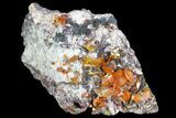 Wulfenite Crystal Cluster - Rowley Mine, AZ #76853-1